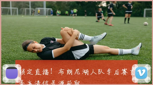 锁定直播！布朗尼湖人队季后赛首秀高清信号源获取