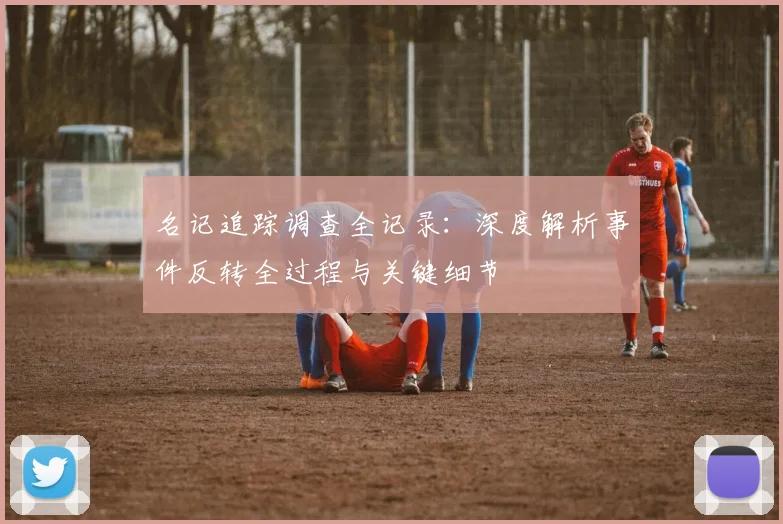 名记追踪调查全记录：深度解析事件反转全过程与关键细节